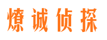 新河市调查公司